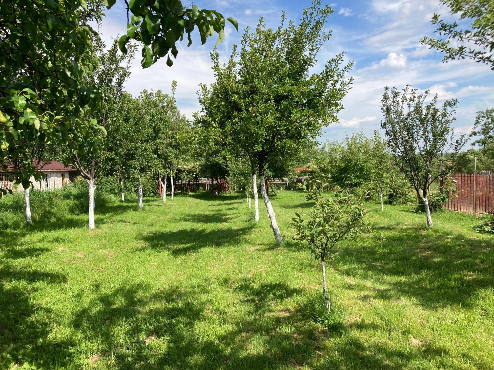 Pensiunea Casa Domnitei Baia de Fier Bagian luar foto
