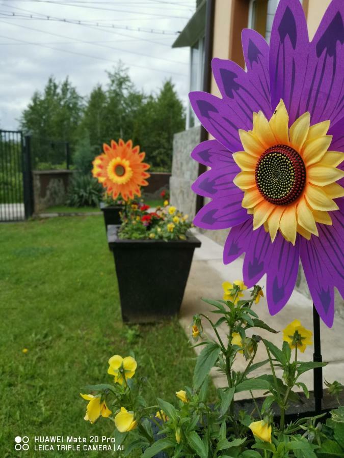 Pensiunea Casa Domnitei Baia de Fier Bagian luar foto