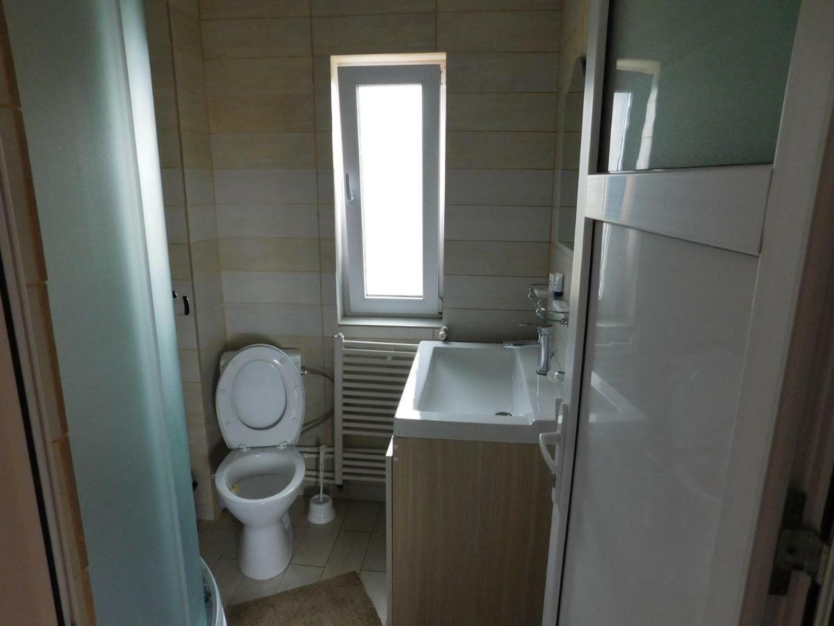 Pensiunea Casa Domnitei Baia de Fier Bagian luar foto