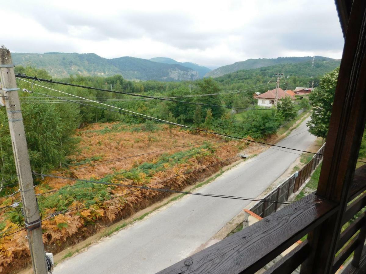 Pensiunea Casa Domnitei Baia de Fier Bagian luar foto