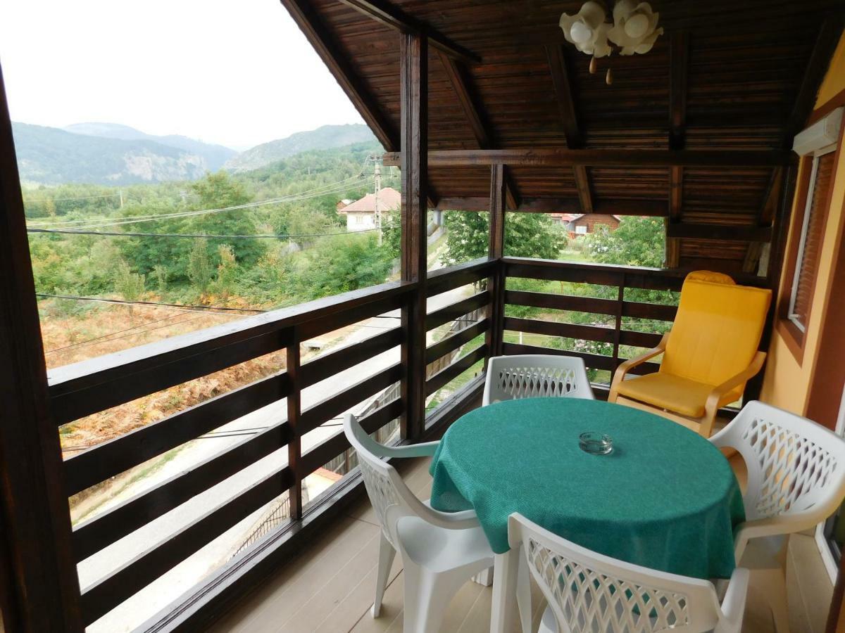 Pensiunea Casa Domnitei Baia de Fier Bagian luar foto