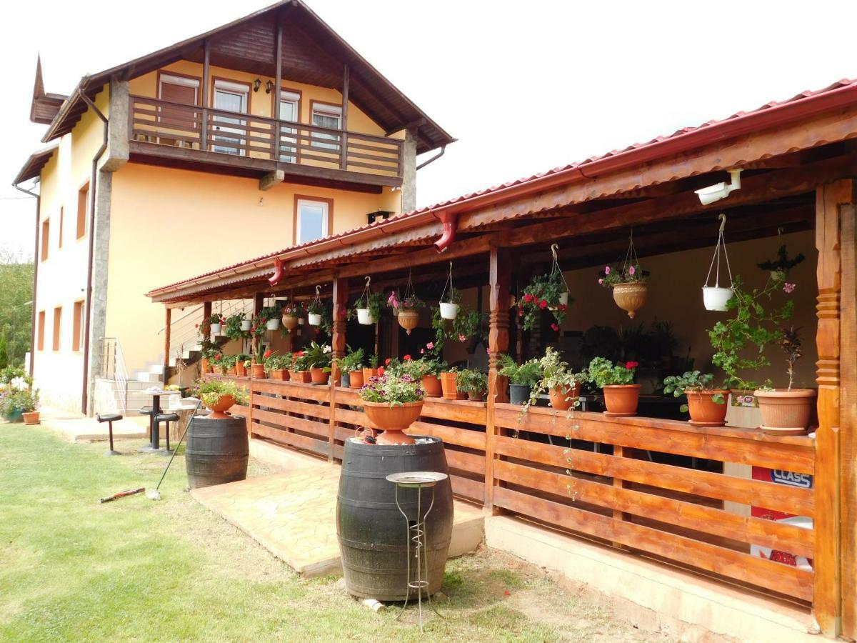 Pensiunea Casa Domnitei Baia de Fier Bagian luar foto