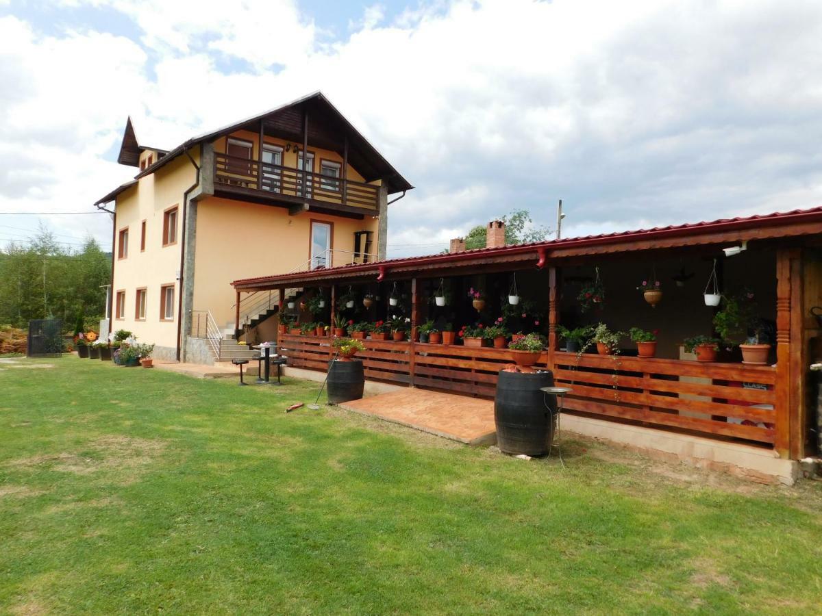 Pensiunea Casa Domnitei Baia de Fier Bagian luar foto