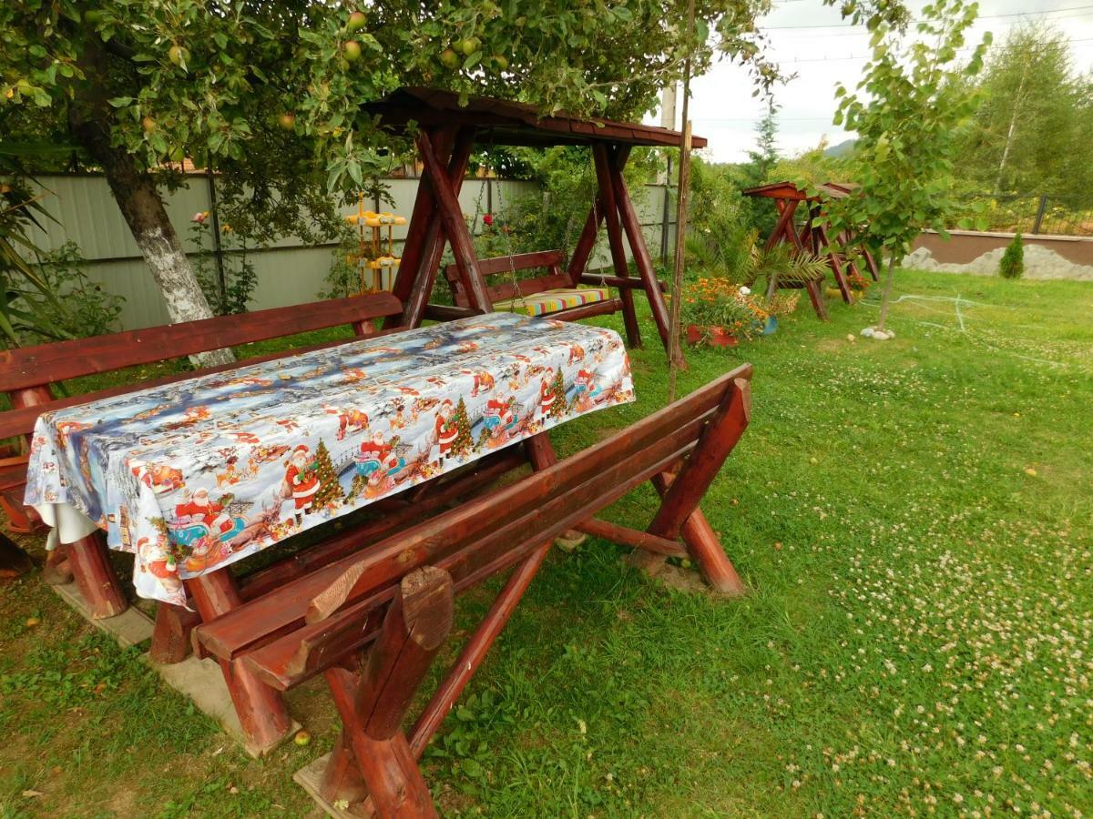 Pensiunea Casa Domnitei Baia de Fier Bagian luar foto