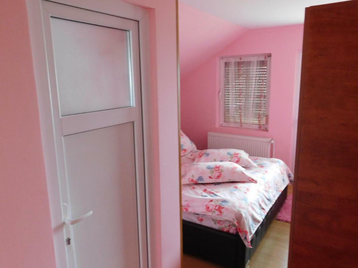 Pensiunea Casa Domnitei Baia de Fier Bagian luar foto